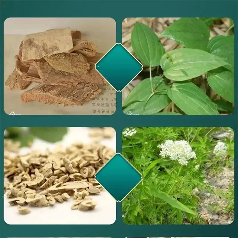 S2c5f9f58048a44a690f995ffc6bc68f61