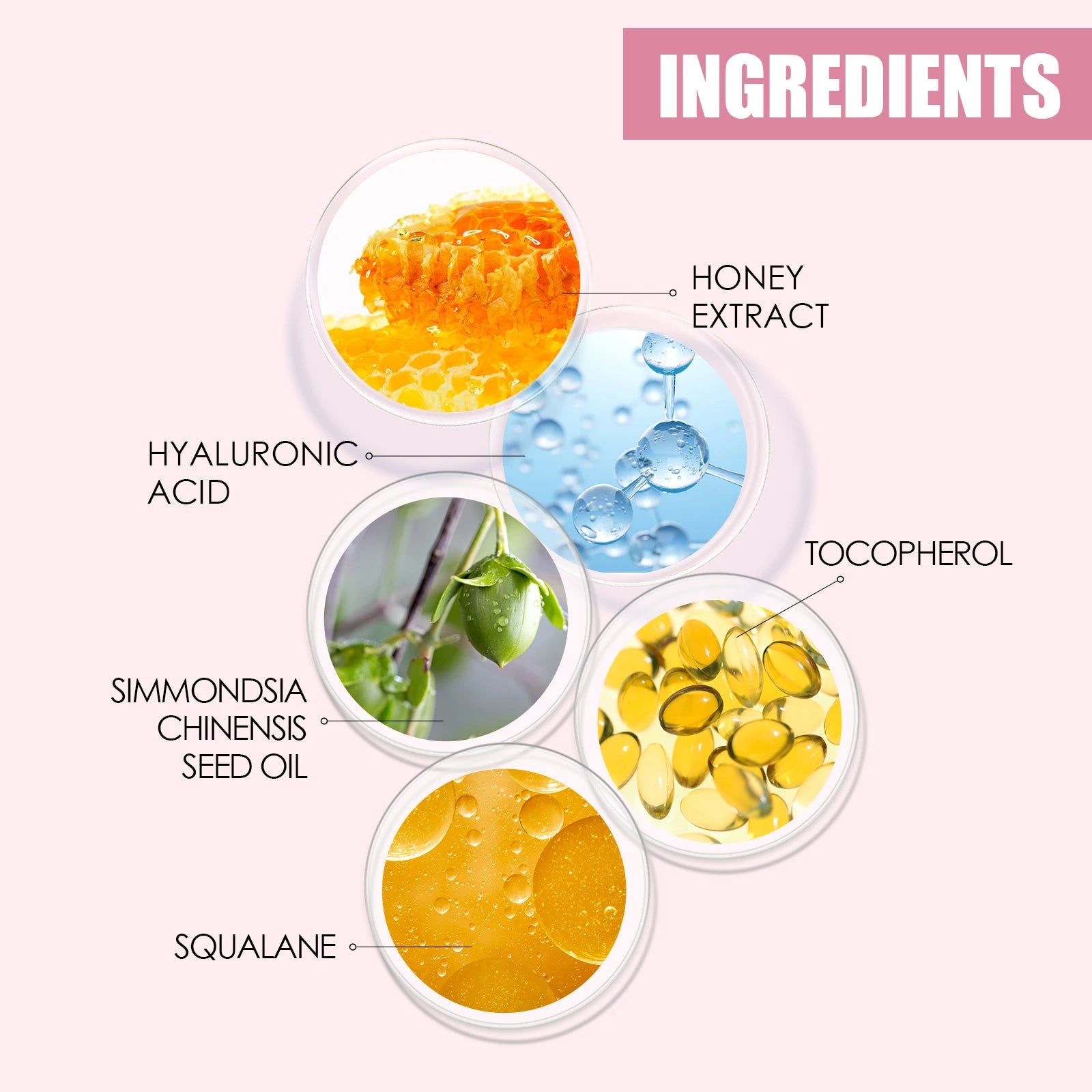 S523e6a09a4ae4b9cb37dcc71bcb709c4X